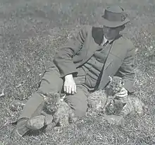 The wildlife illustrator Robert Bruce Horsfall sitting on the grass with three bobcat cubs.