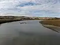 Red Deer River north of emerald shiner Jenner, Alberta