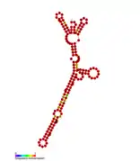 isrQ Hfq binding RNA:  Predicted secondary structure taken from the Rfam database. Family RF01399.