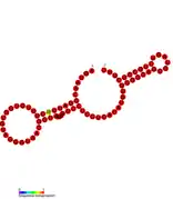 STnc440 Hfq binding RNA:  Predicted secondary structure taken from the Rfam database. Family RF01404.