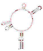 RAGATH-7-assoc Secondary structure taken from the Rfam database. Family RF03105