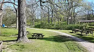 Picnic Grounds