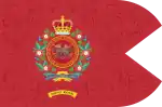 Regimental Guidon of the Royal Hong Kong Regiment (The Volunteers) (RHKR)