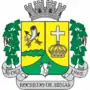 Coat of arms of Rochedo de Minas