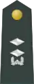 Middle Lieutenant