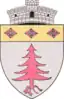 Coat of arms of Ocoliș