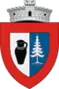 Coat of arms of Marginea