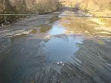 Crișul Alb flowing through Zdrapți