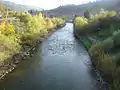 The Golden Bistrița River flowing through Iacobeni