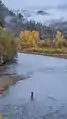 A fly fisherman downstream of Lost Creek Lake