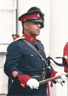 Regimental Sergeant Major in Royal Bermuda Regiment No.1 dress with red facings