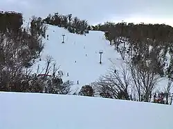 The Racecourse Run, Selwyn Snowfields