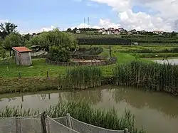 Part of the experimental farm with the settlement behind it