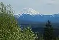 Mount Rainier seen from south side trail