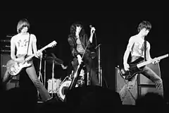 Image 7The Ramones in Toronto (1976) (from Doo-wop)