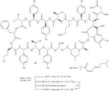 6 - Deprotection