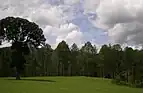 Golf grounds in Ranikhet