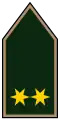 Főhadnagy(Hungarian Ground Forces)