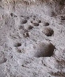 Image 35Rock mortars in Raqefet Cave, used to make beer during the Stone Age. (from History of beer)