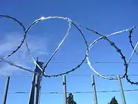 Medium barb razor wire