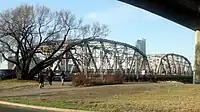 Langevin Bridge