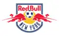 Red Bulls' first crest(2006–2007)