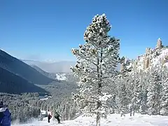 Image 13The Palisades area on the north end of the ski area at Red Lodge Mountain Resort (from Montana)