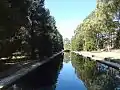 The garden's Reflection Pool