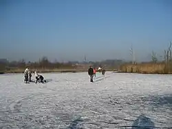 Regte Heide in winter, with Riel in the background