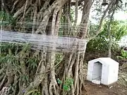 Religious shrine in Saligao.