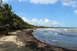 Reserva Humacao Beach