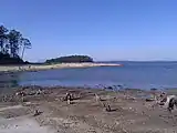 Beach of a large lake-like reservoir with much driftwood. A small island is visible in the water.