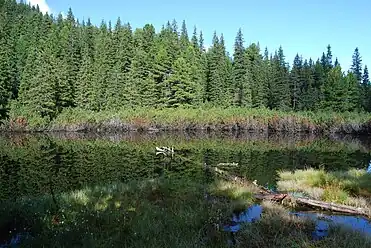 The Pond Between the Firs (Tăul dintre brazi), a small non-glacial lake inside the national park.