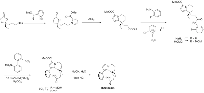 Rhazinilam – Trauner synthesis