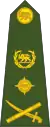 A Rhodesian Army general's insignia