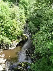 The Rhue river in Chanterelle