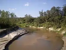 River surrounded by floodplain vegetation and silted banks