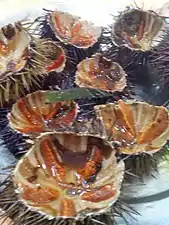 Open sea urchins in Sicily