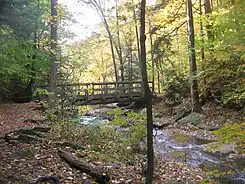  A hiking trail crosses a creek on a horizontal wooden footbridge with handrails. Below the bridge the creek drops out of sight and there is an opening in the trees behind the bridge. It is autumn and leaves of yellow, orange and some green are visible on the trees, rocks and trail.