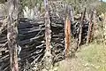 *Willow branch corral