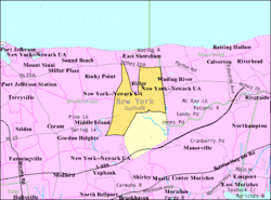 U.S. Census map