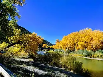 Rio Grande just upstream from the Embudo Bridge