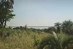 View of the Paraná River from Lavalle