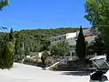 The car park at the entrance of the pine wood.