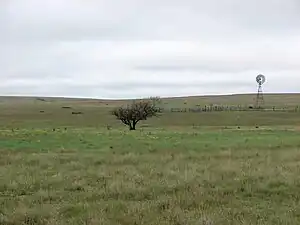 Rita Blanca National Grassland