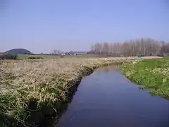 Watermeadows at Glandford