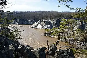 River View from trail