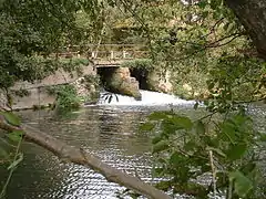 The Nadder at Teffont Mill