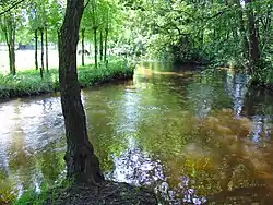 Swalm brook near Swalmen