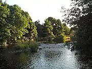River Wharfe east of Otley looking upstream53°54′38.72″N 1°40′37.97″W﻿ / ﻿53.9107556°N 1.6772139°W﻿ / 53.9107556; -1.6772139